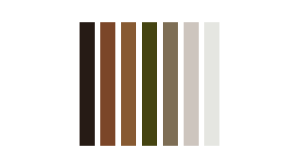 graphic of color palette for branding